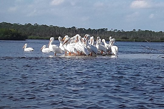Tour image 4