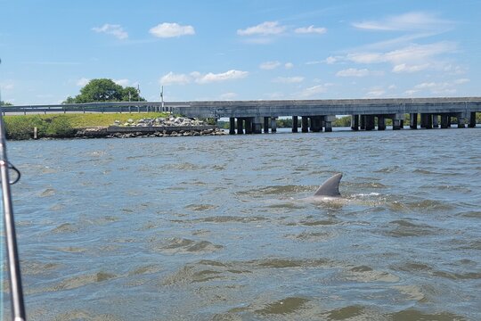 Tour image 13