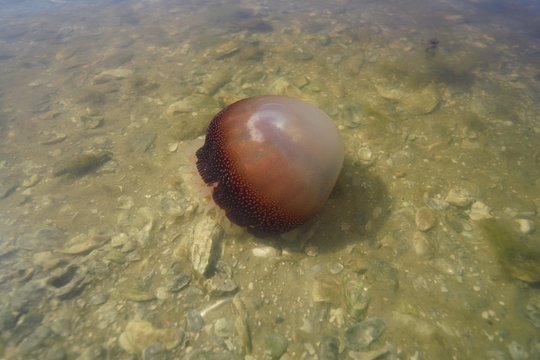 Tour image 5